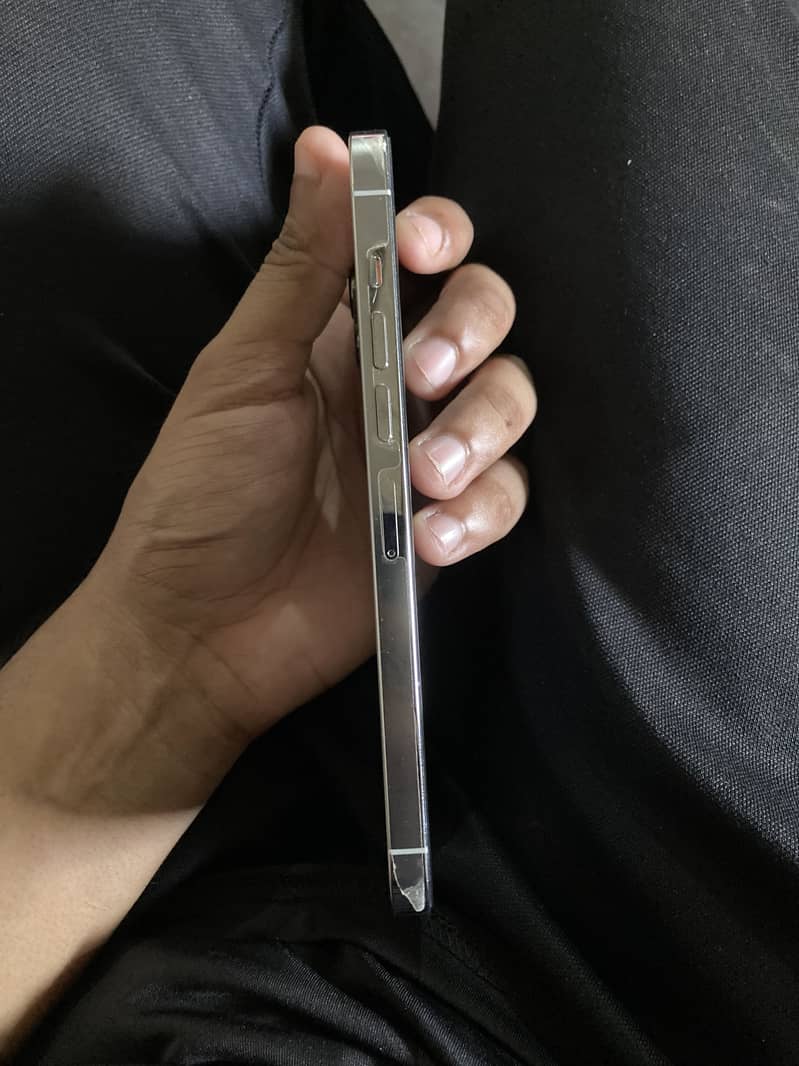 Apple iPhone 13 Pro Max 2