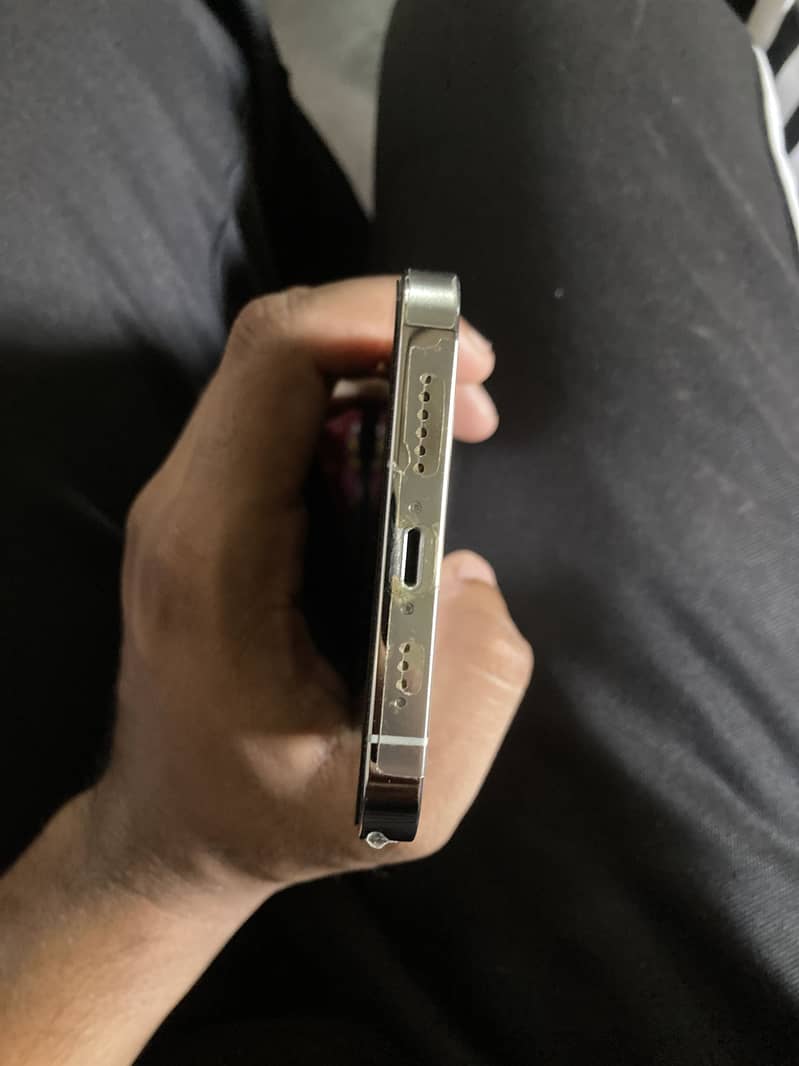Apple iPhone 13 Pro Max 4