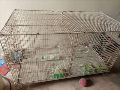 birds cages