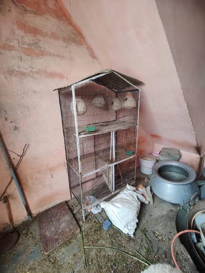 BIG CAGE