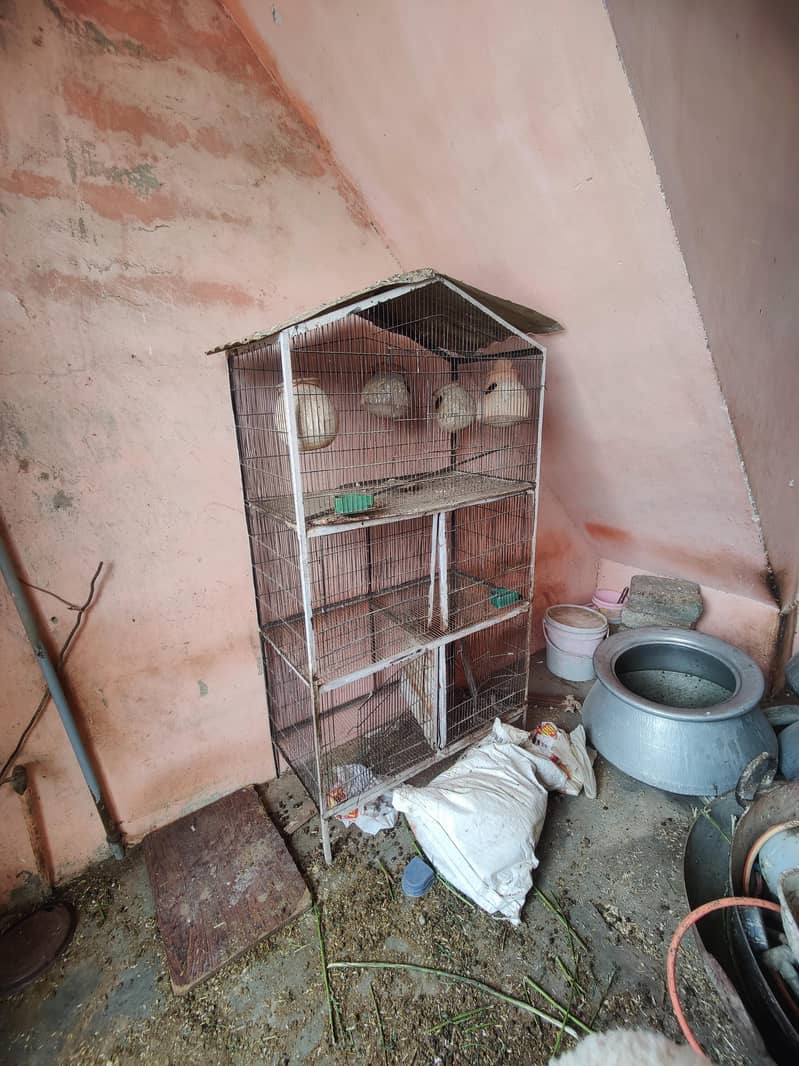 BIG CAGE 0