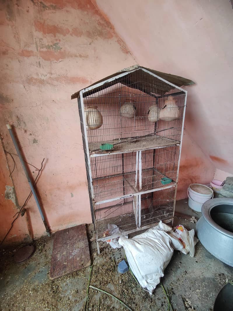 BIG CAGE 1