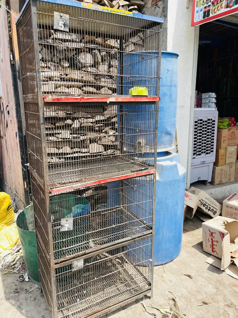 Cage for Birds and pets — photo 2