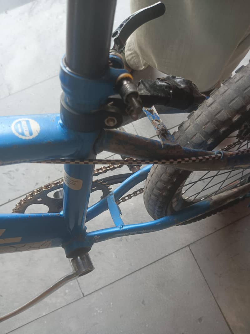 Morgan cycle 0