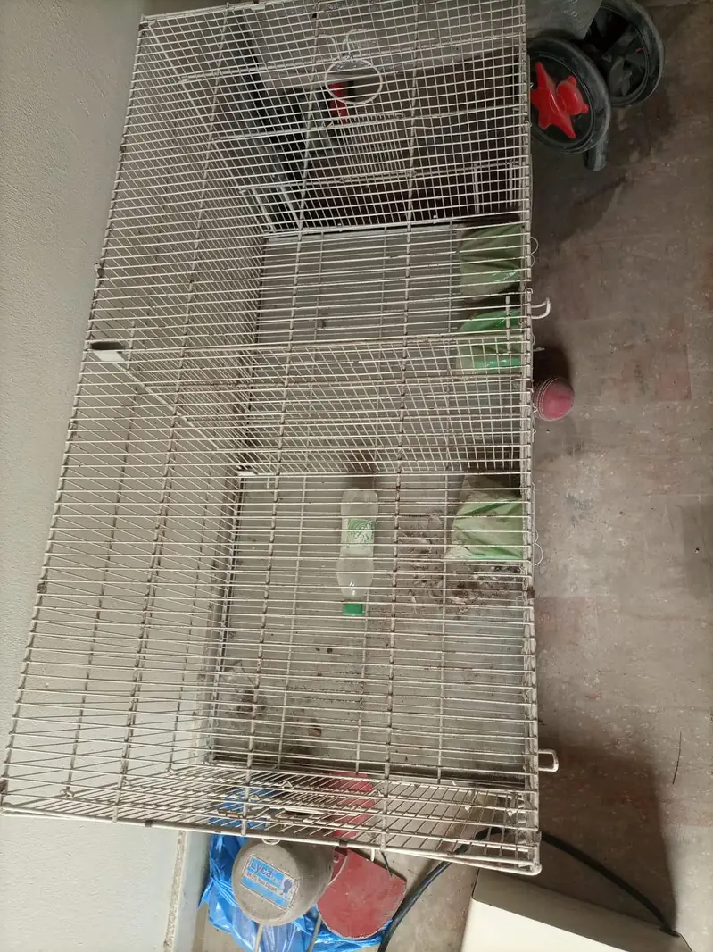 birds cages — photo 2