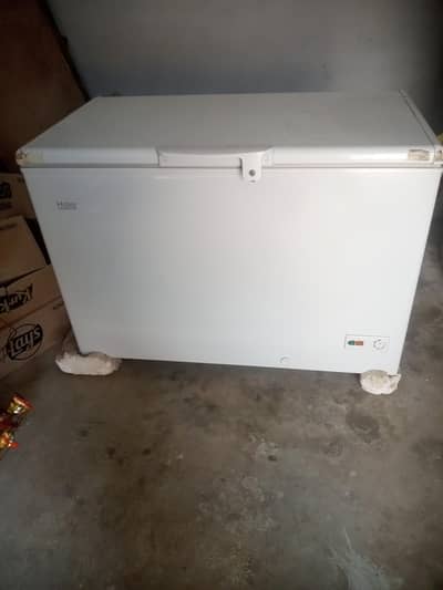 fresh 3 month used