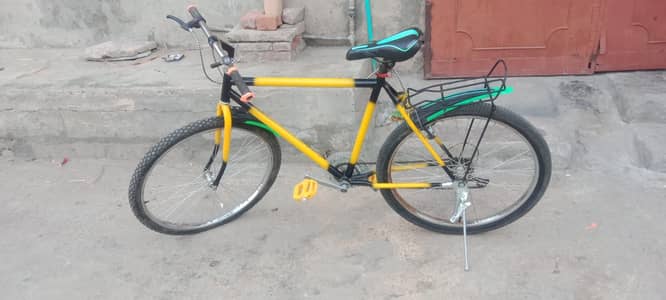 Phonix bicycle 0302.4047005