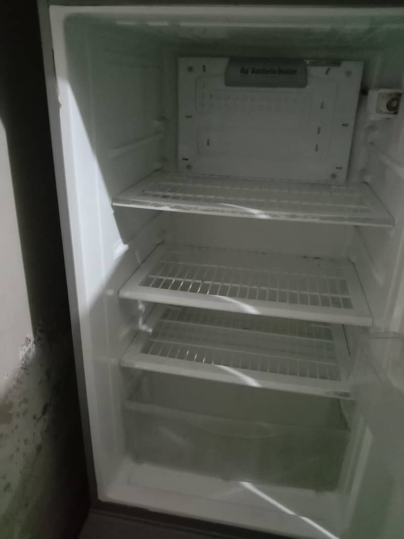 Pell full size fridge 1