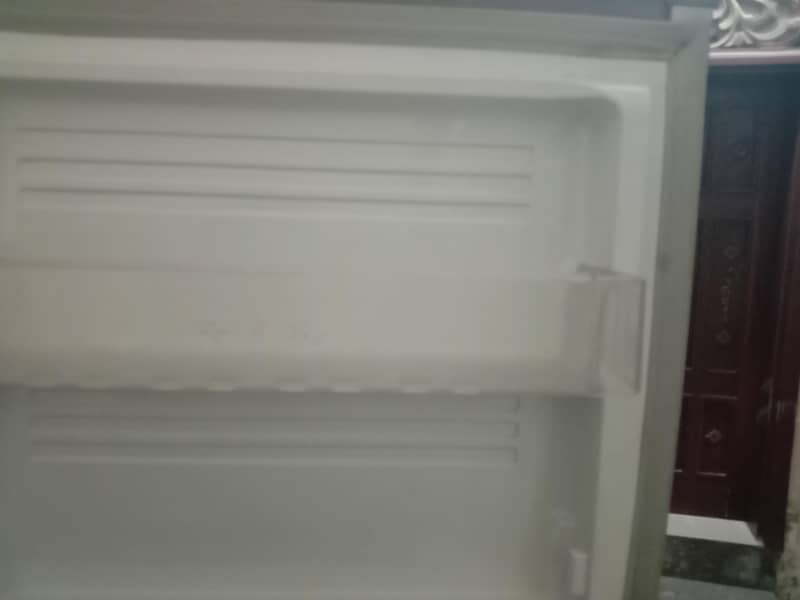 Pell full size fridge 5