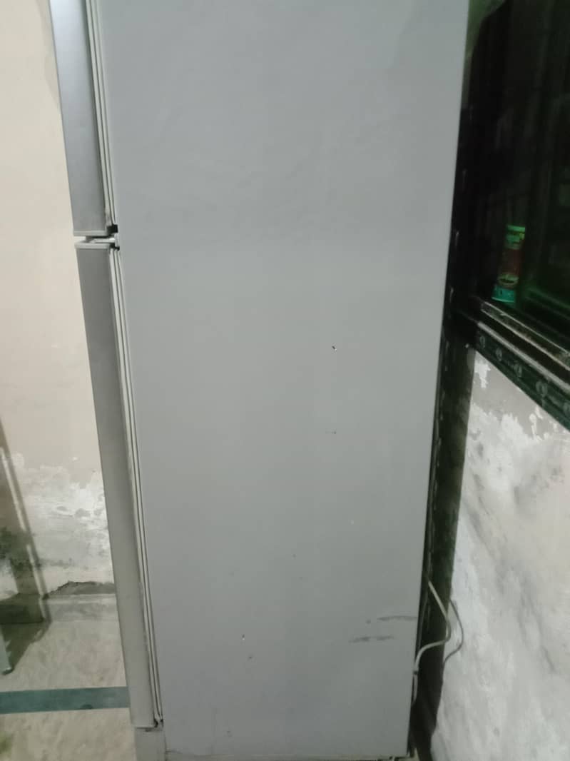 Pell full size fridge 6