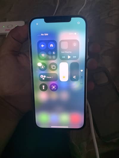 Apple iPhone 12 Pro Max