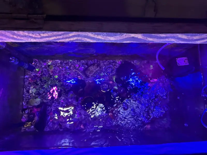 Fish Aquarium for Sale — photo 2