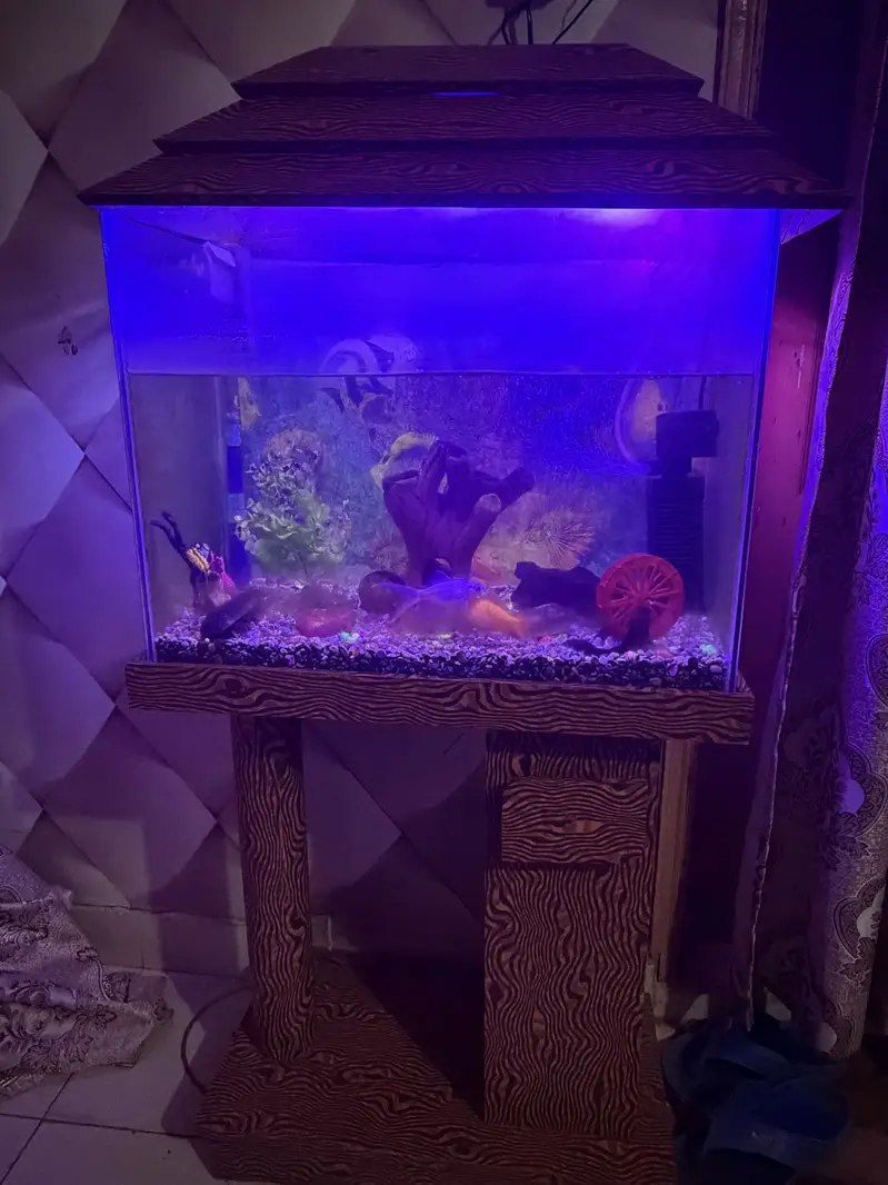 Fish Aquarium for Sale — photo 3