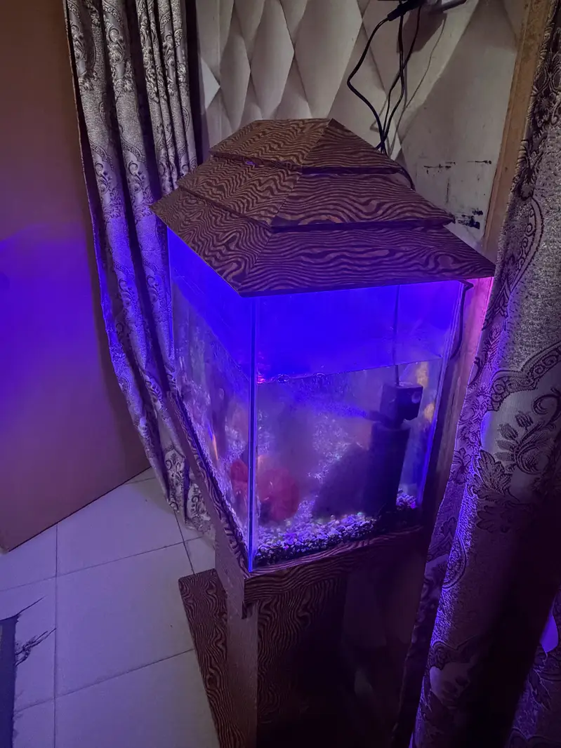 Fish Aquarium for Sale — photo 4