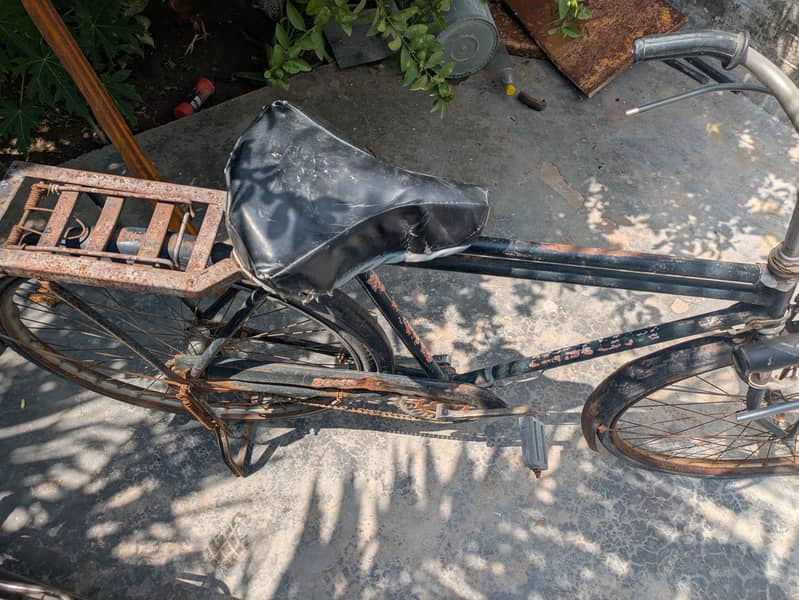 sohrab cycle 1