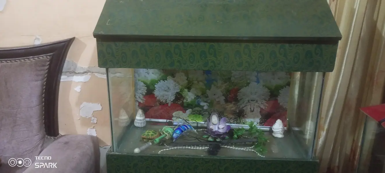  Slightly Used Aquarium for Sale – Excellent Condition  — photo 2