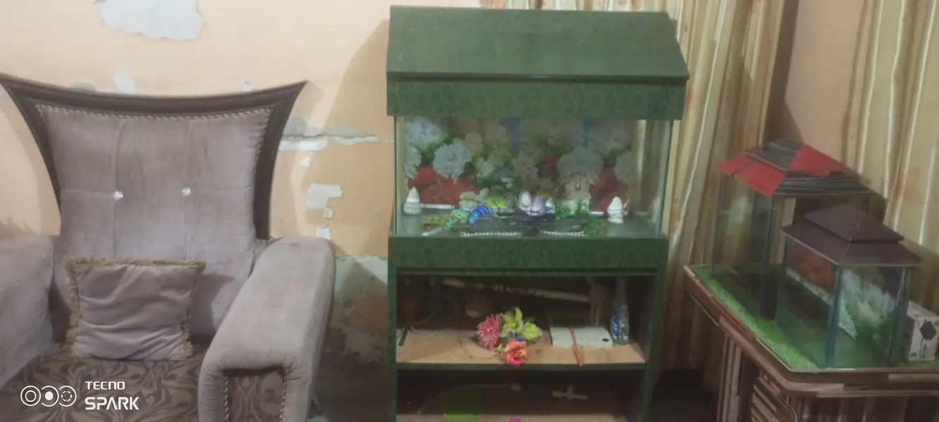  Slightly Used Aquarium for Sale – Excellent Condition  — photo 3