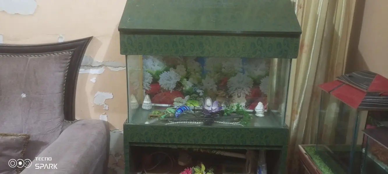  Slightly Used Aquarium for Sale – Excellent Condition  — photo 4