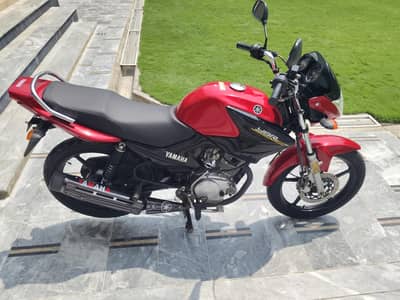 Yamaha YBR 125 ESD 2021