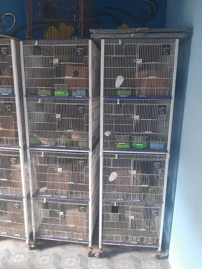 Master Cage