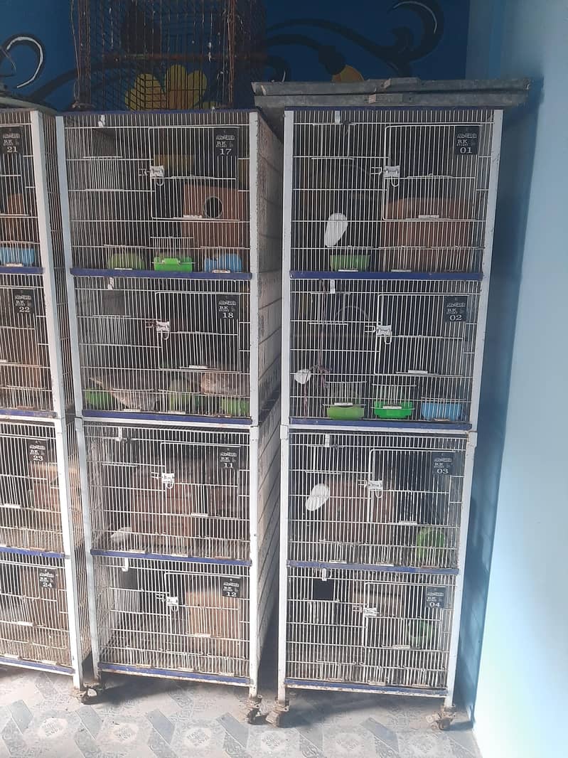 position cage 0
