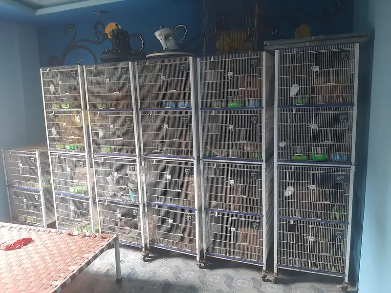 position cage — photo 2