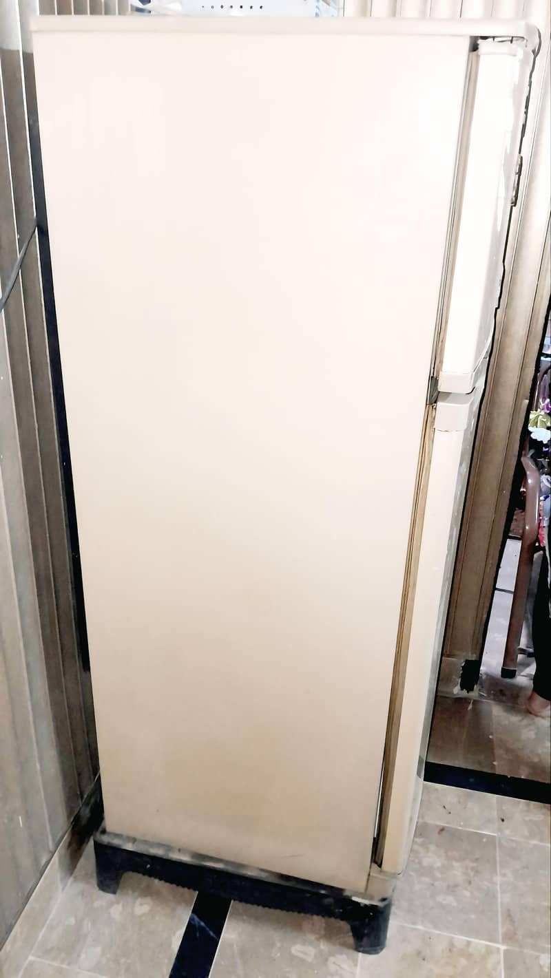 Waves Rafrigerator 1