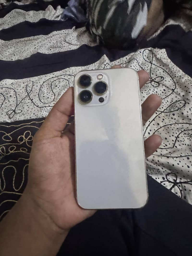 Apple iPhone 13 Pro 1