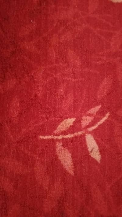 Best Quality Red Maroon Carpet 12x13 ft - Perfect for Home