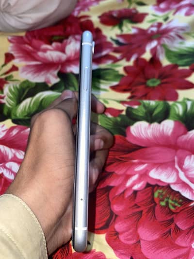 i phone xr