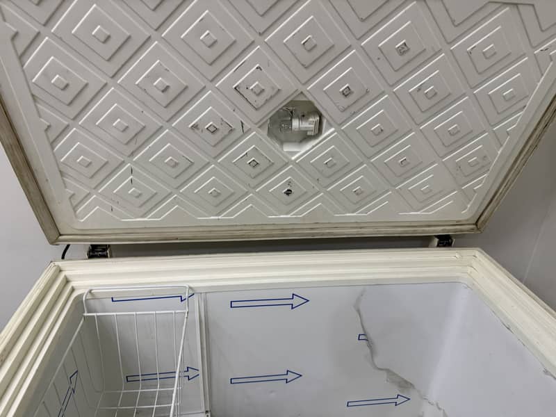 freezer 1