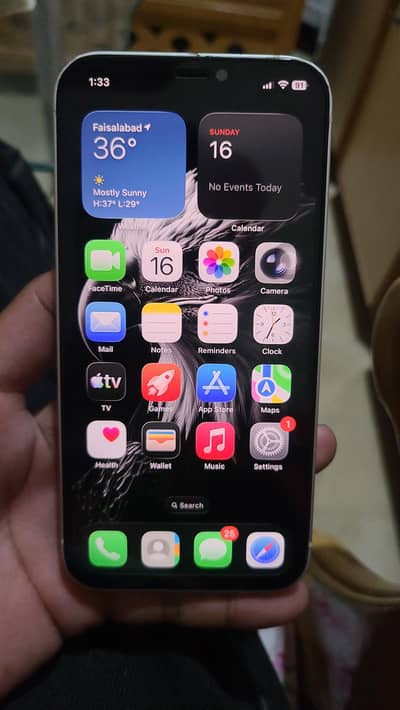 Apple iPhone 12