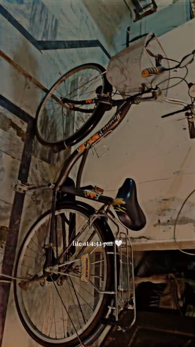 100% new bicycle