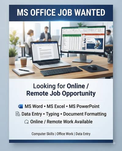 MS Office Assistant / Data Entry Operator