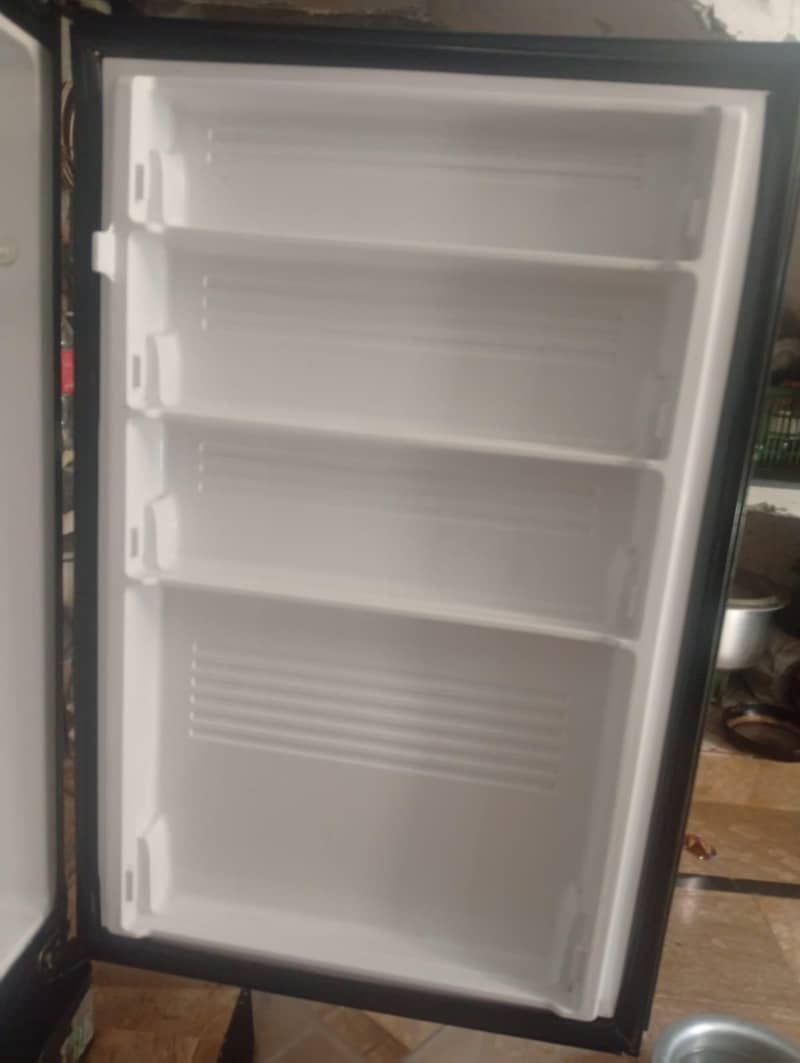 pel jumbo 2