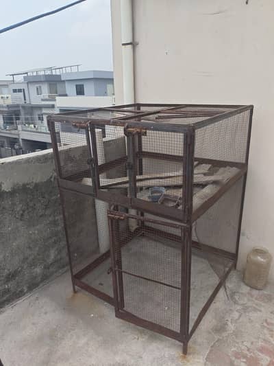 cage size what's app msg