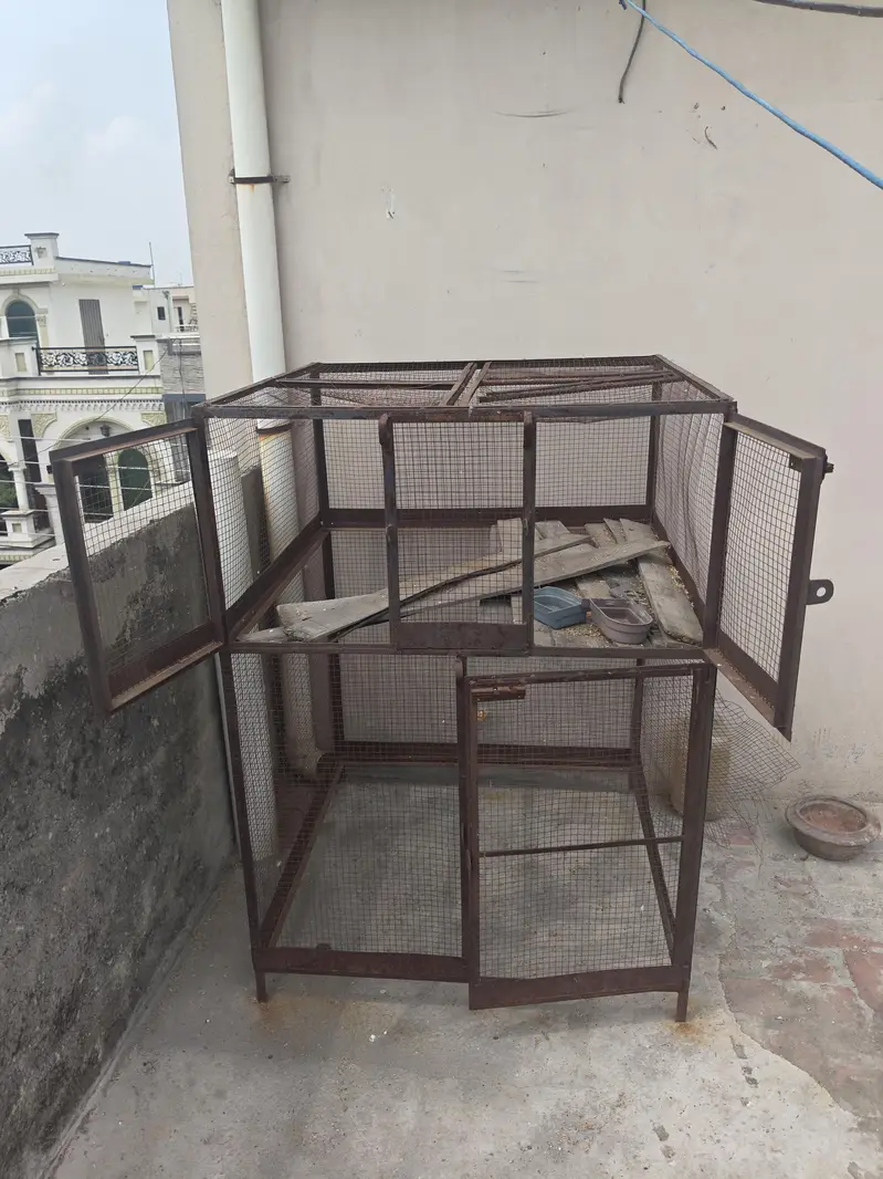 cage size what's app msg — photo 2