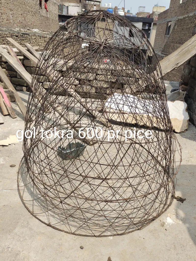 aseel for sale cage for sale exchange posibal — photo 7
