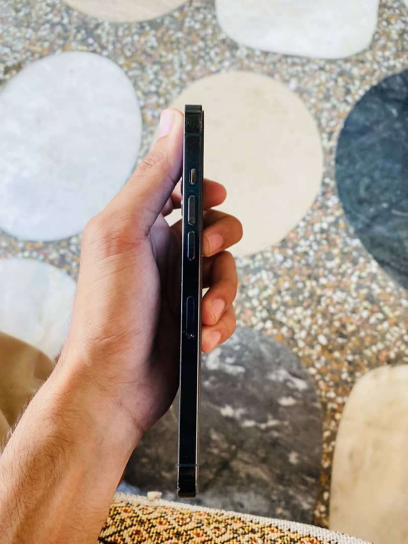 Apple iPhone 12 Pro Max 6