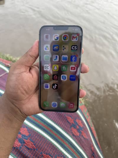 Apple iPhone 13 Pro Max