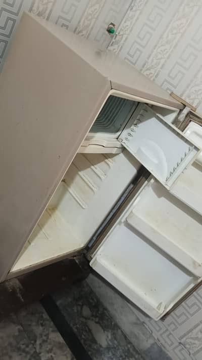Dawlence Room fridge