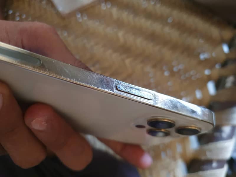 Apple iPhone 12 Pro Max 1