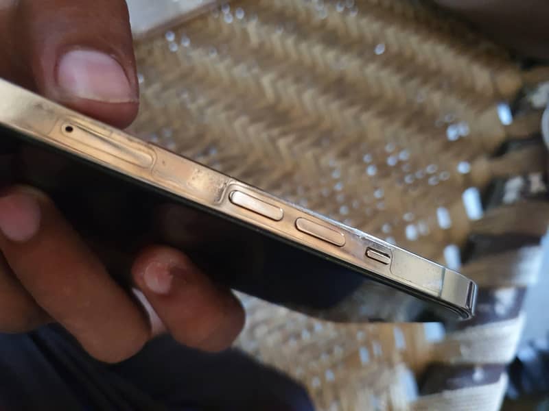 Apple iPhone 12 Pro Max 2