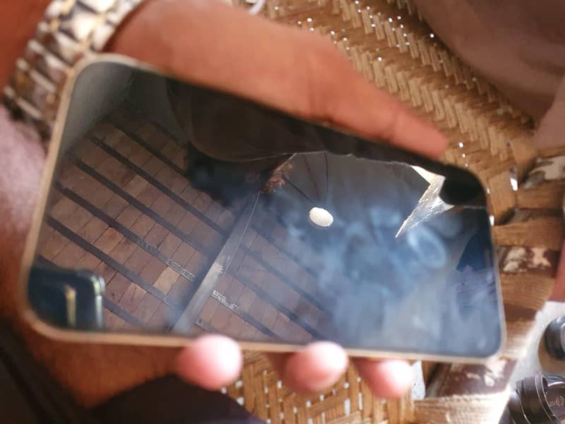 Apple iPhone 12 Pro Max 4