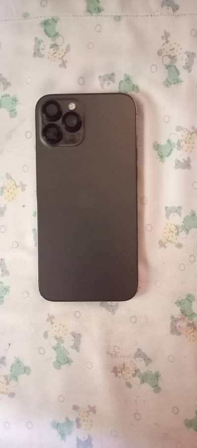 Apple iPhone 12 Pro Max