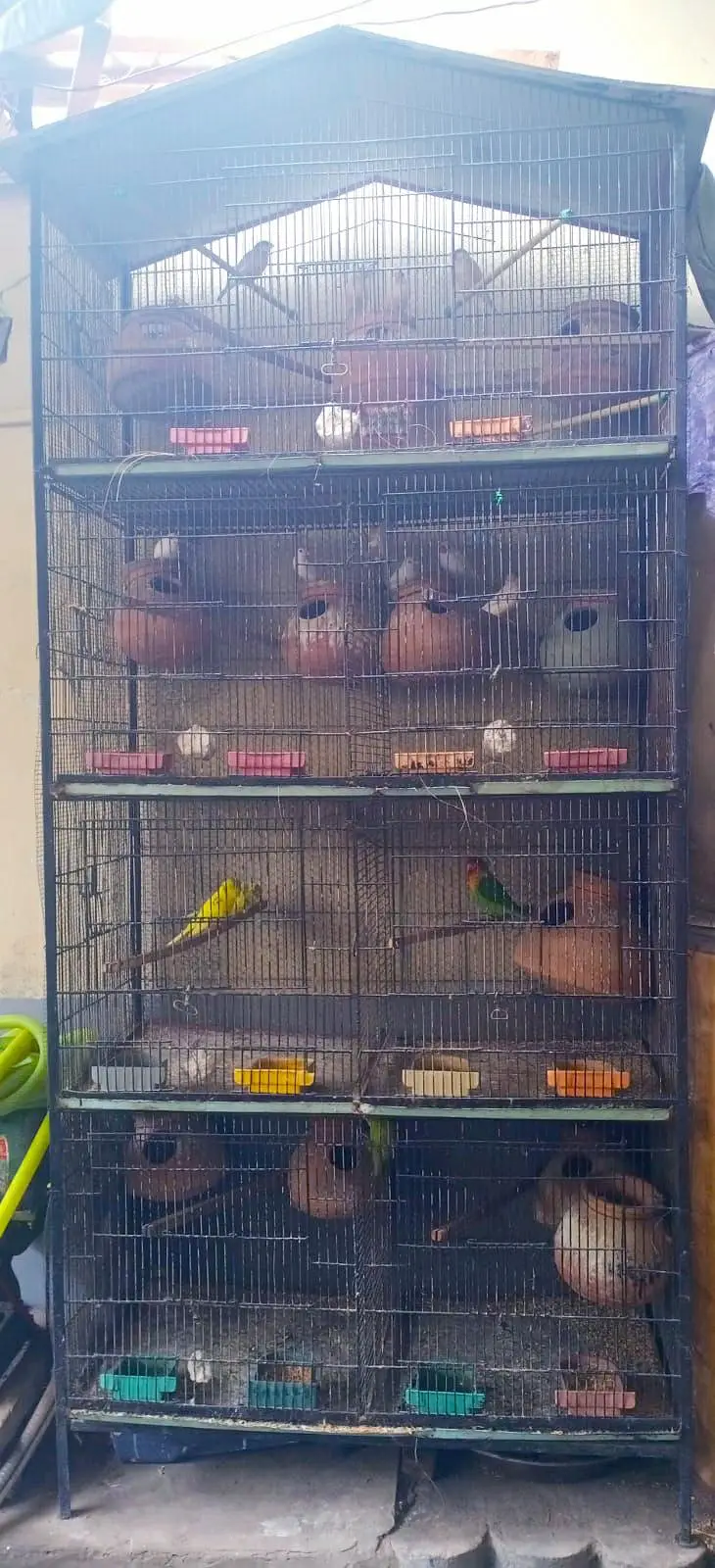 cage for sale