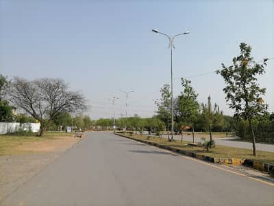 Looking For A Residential Plot In D-13/1 Islamabad