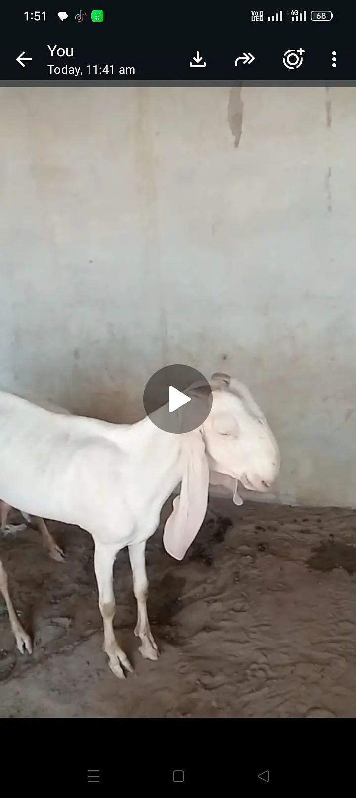bakri — photo 2