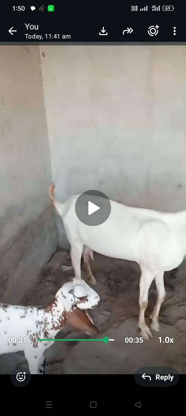 bakri 2