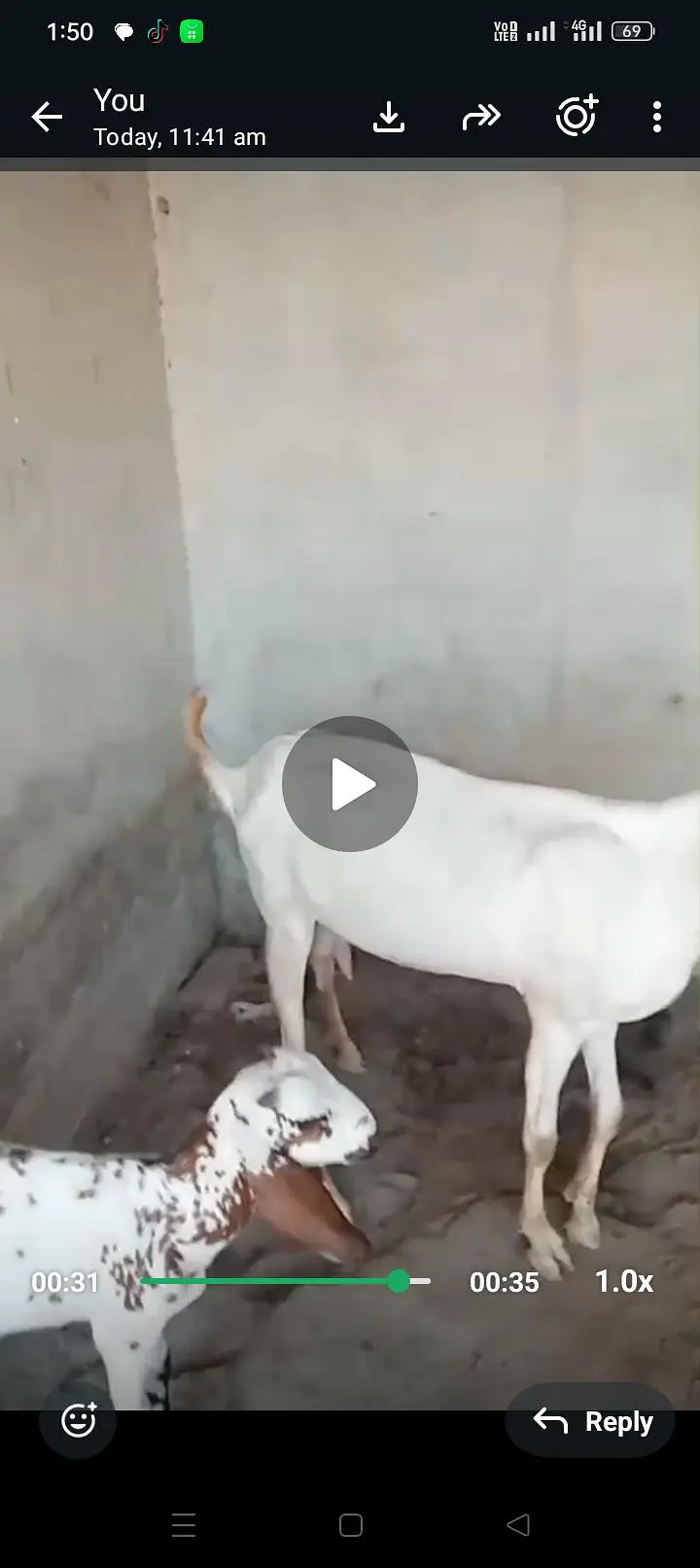 bakri — photo 3